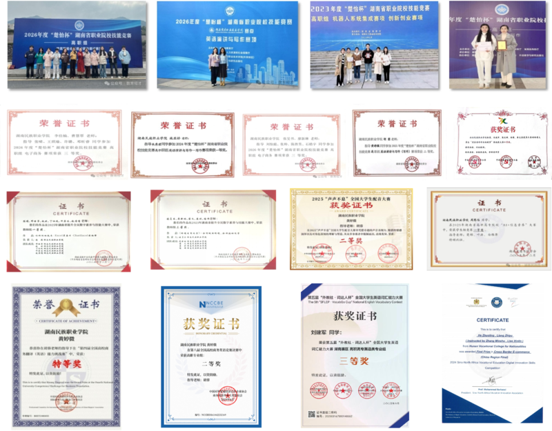 1785042911822077772.png 获奖.png
